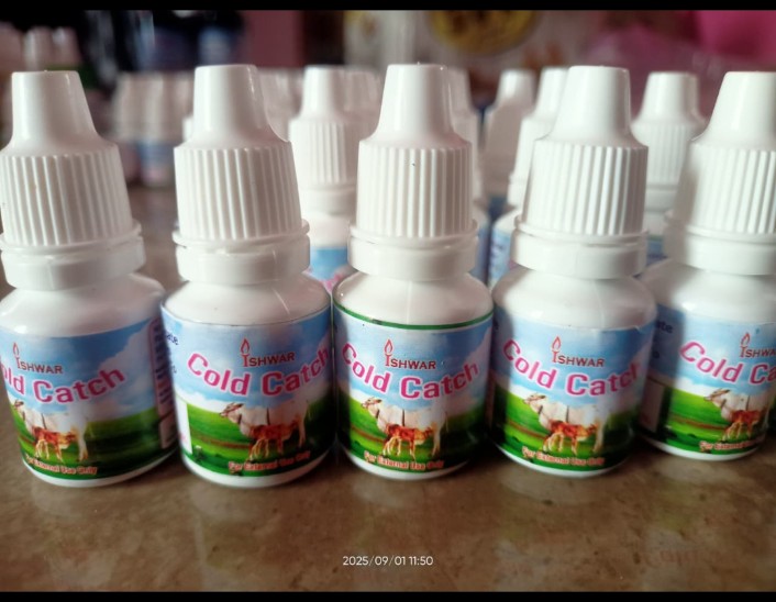 Cold catch pack of 5